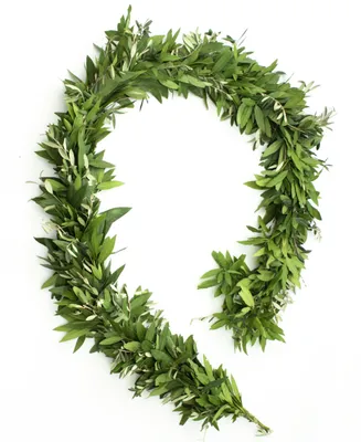 Magnolia Supply Co Fresh Bay Leaf and Olive Holiday Garland, 6'