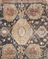 Feizy Percy R39AL 4' x 6' Area Rug