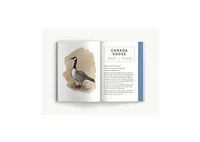 Birds: An Illustrated Field Guide by Alice Sun