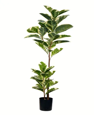 Vickerman 50" Artificial Potted Real Touch Dieffenbachia