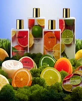 Bath and Body Care Gift Set, Home Spa Kit in Lemon, Orange, Grapefruit Lime Scents, Relaxing Stress Relief Gift, 19 Piece