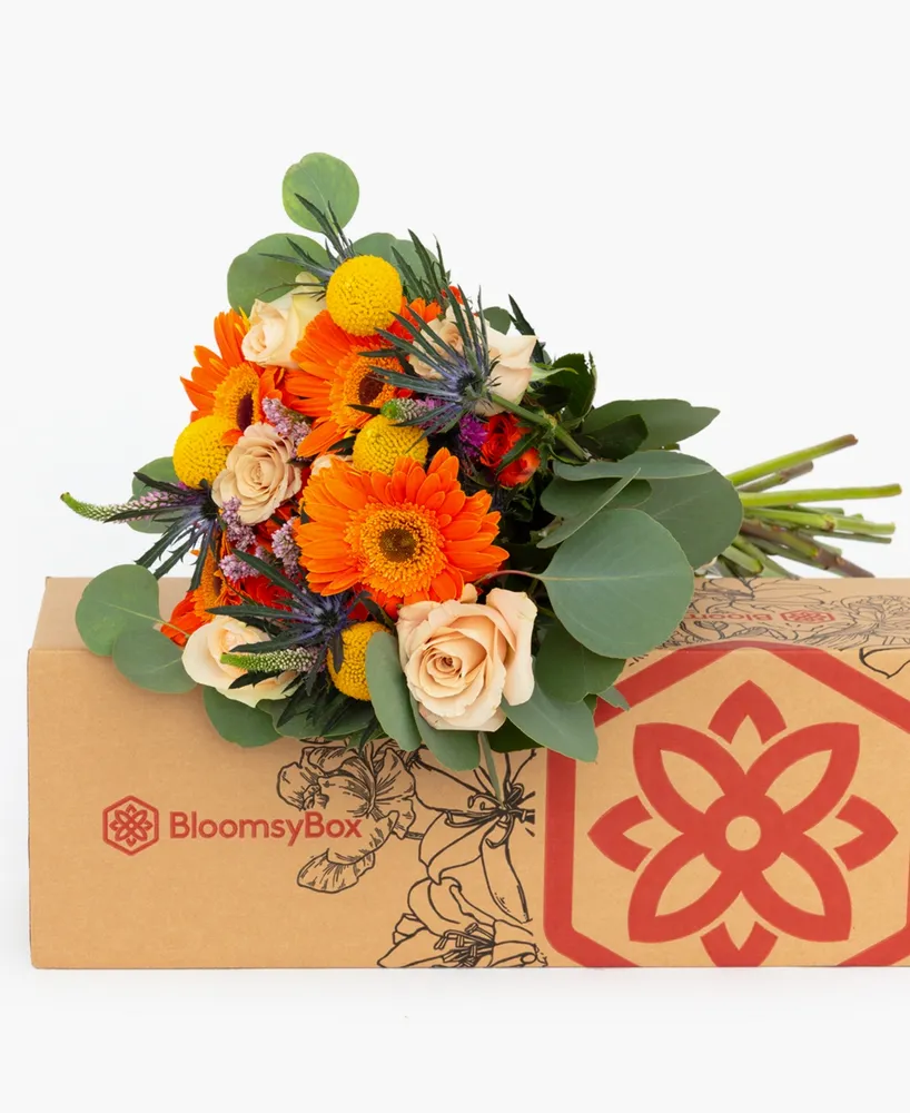 BloomsyBox Celebration Fresh Flower Bouquet