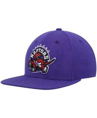 Men's Mitchell & Ness Purple Toronto Raptors Hardwood Classics Team Ground 2.0 Snapback Hat