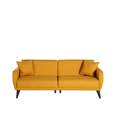 Sleeper Sofa in a Box with Storage