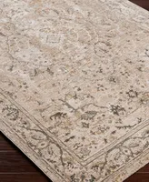 Surya Brunswick BWK2312 6'7" x 9'6" Area Rug