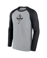 Men's Nike Gray