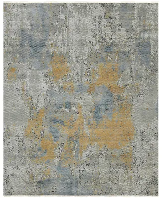 Amer Rugs Majestic Hapley 2' x 3' Area Rug