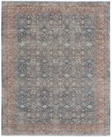 Feizy Gilford R39gt Area Rug