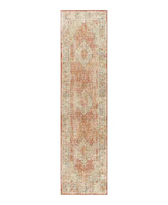 Surya Aspendos Aps- 2'7" x 10' Runner Area Rug