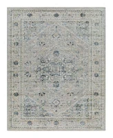 Surya Brunswick Bwk Area Rugs