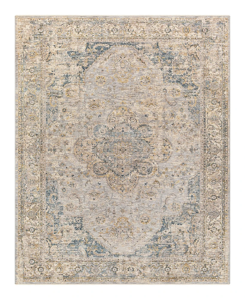 Livabliss Aspendos Aps-2303 6'7" x 9'6" Area Rug