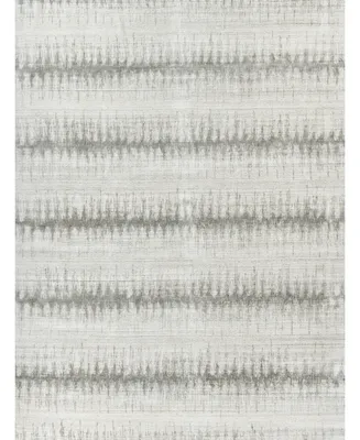 Exquisite Rugs Chroma ER4495 8' x 10' Area Rug