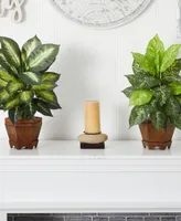 Nearly Natural Dieffenbachia w/Wood Vase Silk Plant, Set of 2