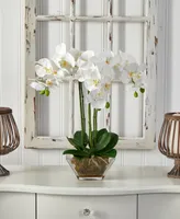 Nearly Natural Triple Phalaenopsis Orchid in Glass Vase