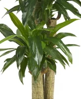 Nearly Natural 57" Corn Stalk Dracaena Real Touch Plant