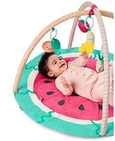 Skip Hop Watermelon Play Gym, 7 Piece Set