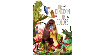 The Kingdom of Colors by Valter Fogato