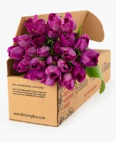 BloomsyBox Purple Pop Tulips Fresh Flower Bouquet