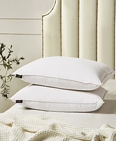 Farm to Home Softy-Around White Feather & Down Cotton 2-Pack Pillow