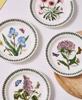 Botanic Garden Assorted Motifs Salad Plate, Set of 6