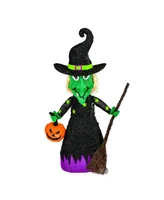 National Tree Company 39" Pre-Lit Witch with Broom