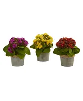 Nearly Natural Kalanchoe Artificial Arrangements, Set of 3