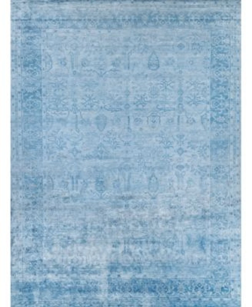 Exquisite Rugs Antiqued Silk Er5171 Area Rug Area Rug