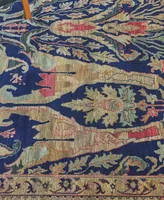 Exquisite Rugs Jurassic ER9368 8' x 10' Area Rug