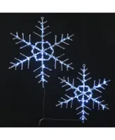 National Tree Company Hexagon Ice Crystal Snowflake Pair with Led Lights