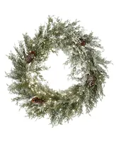 National Tree Company 24" Pre-Lit Snowy Christmas Wreath with Pinecones