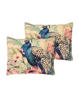 Greenland Home Fashions Eden Peacock Sham