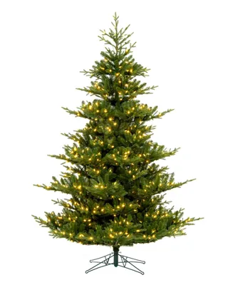Vickerman Hudson Fraser Fir Artificial Christmas Tree, Dura-lit Led Warm Mini Lights, 9'