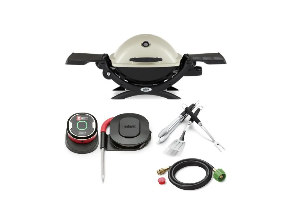 Weber Q1200 Liquid Propane Grill Titanium All-In-One