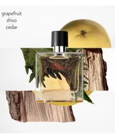 Terre d'Hermes Pure Perfume Spray