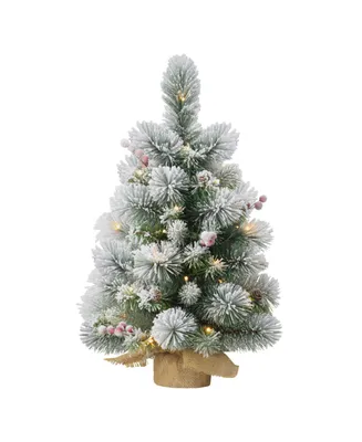 Puleo Pre-Lit Table Top Artificial Christmas Tree with 35 Lights in Sac, 2'