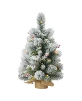 Puleo 2FT Pre-Lit Table Top Artificial Christmas Tree