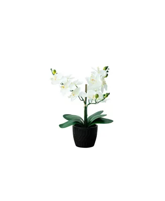 Nature's Elements Desktop Artificial Orchid in Decorative Vase