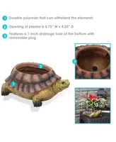 Sunnydaze Decor Teddy the Tortoise 11 in Polyresin Outdoor Garden Planter