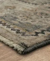 Karastan Echo Gamin Area Rug