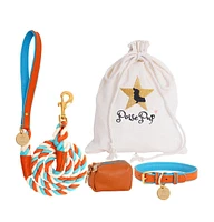 PoisePup Pet Dog Collar - Vibrant Sunset