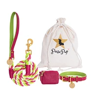 PoisePup Pet Dog Collar - Candy Swirl