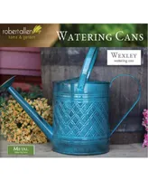 Robert Allen Llc Robert Allen Home and Garden IronLite Wexley Watering Can, Blue, 2 Gal