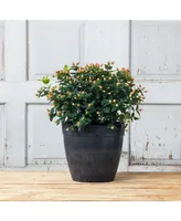 Novelty Manufacturing 03128 Round Dolce Flower Pot/Planter, Black, 12"