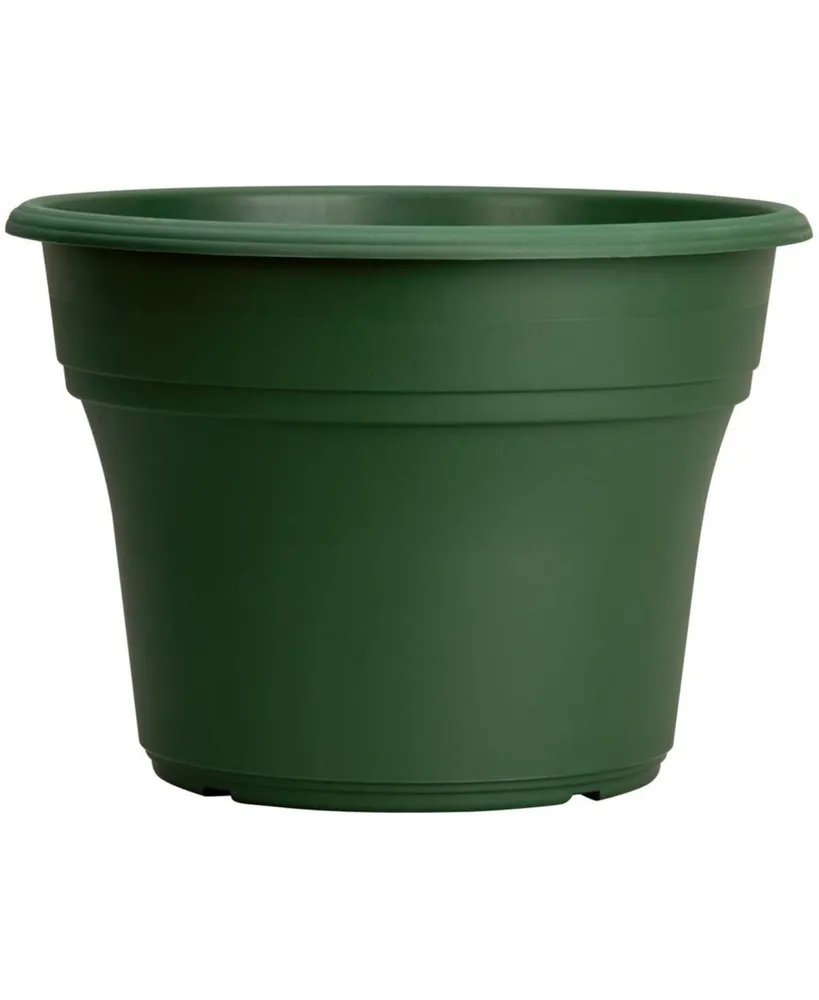 Panterra Plastic Planter Flower Pot Green 8 Inch