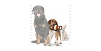 Tuffy Ocean Creature Jr Fish Orange, Dog Toy
