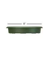 Akro Mils Panterra Plastic Saucer, Green - 8in