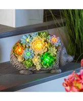 Evergreen Solar Resin Succulent Hedgehog