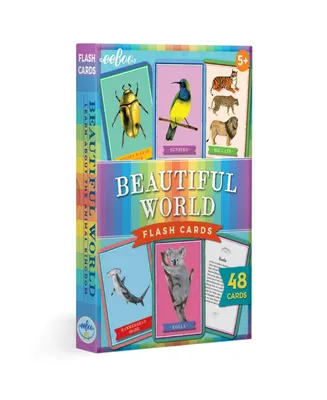 Eeboo Beautiful World Educational Flash Cards 48 Piece Set