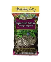 Mosser Lee 0560 Spanish Decorative Moss, 250-Cubic Inch