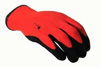 Double Coated Windproof Winter Gloves